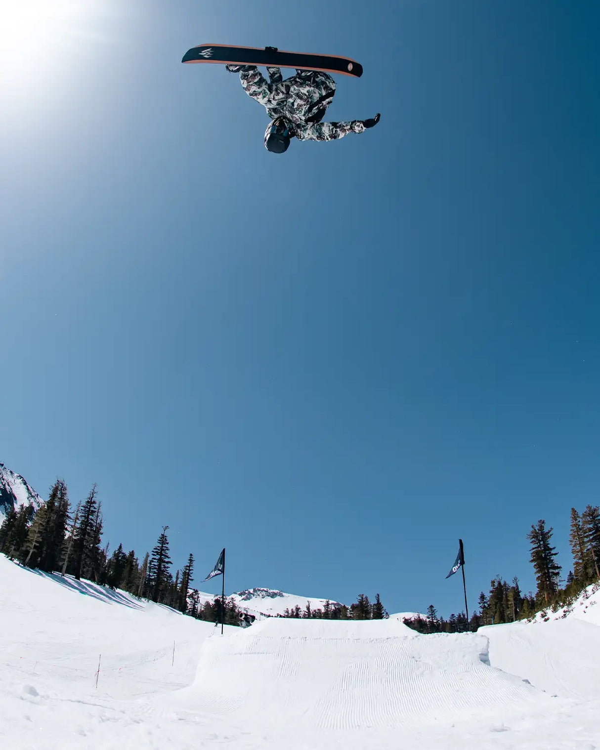 Mountain Twin Pro Snowboard 2026