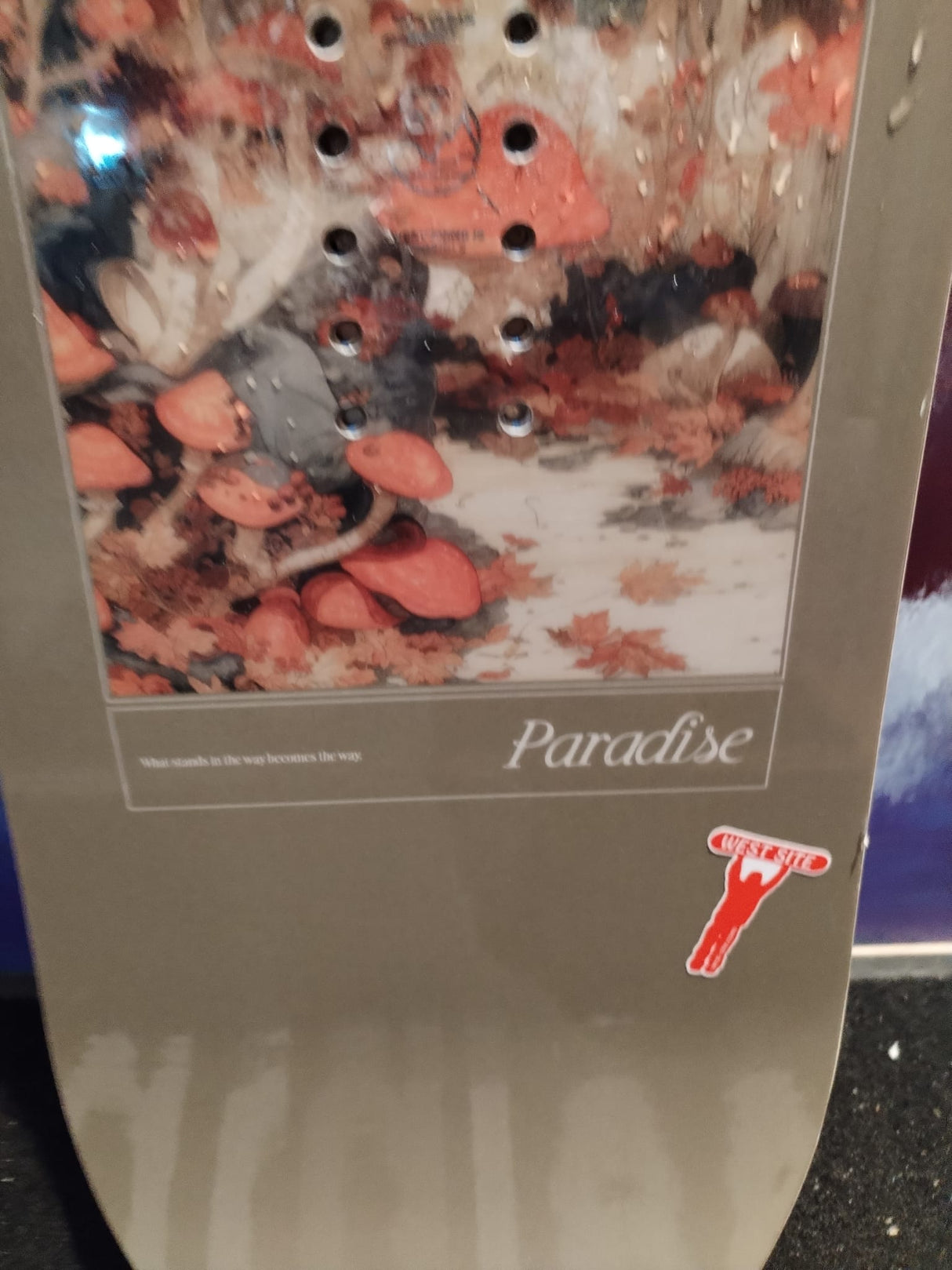 CAPiTA Paradise 145 - 2nd Hand Snowboard