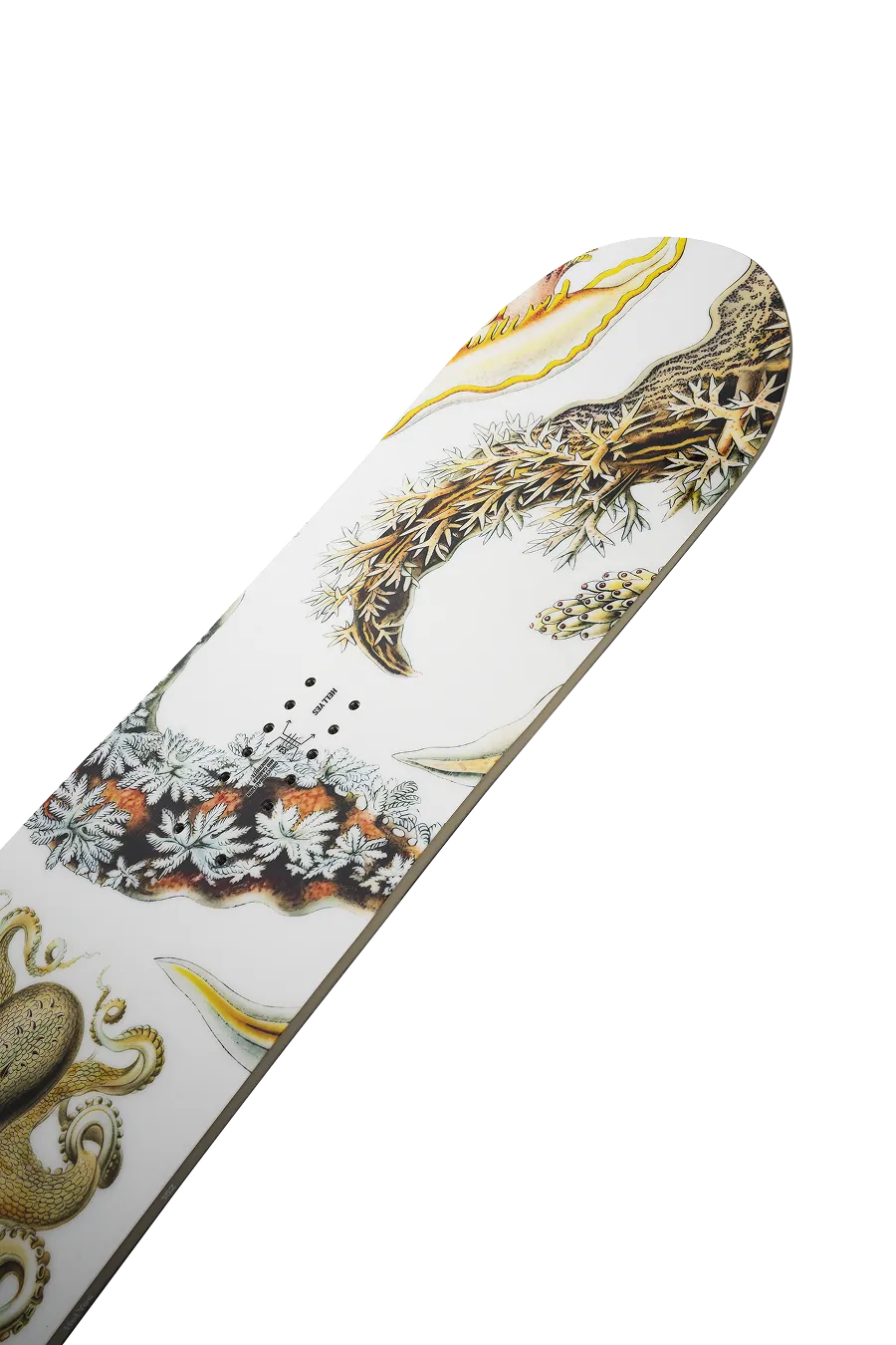 Women's Hell Yes Snowboard 2026