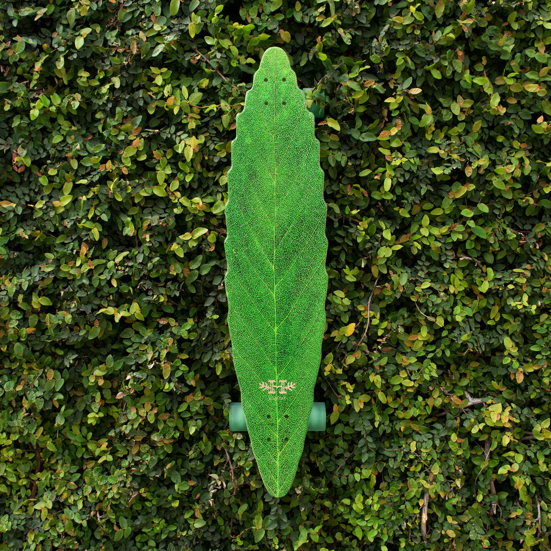 41.0" Leafline Longboard Complete