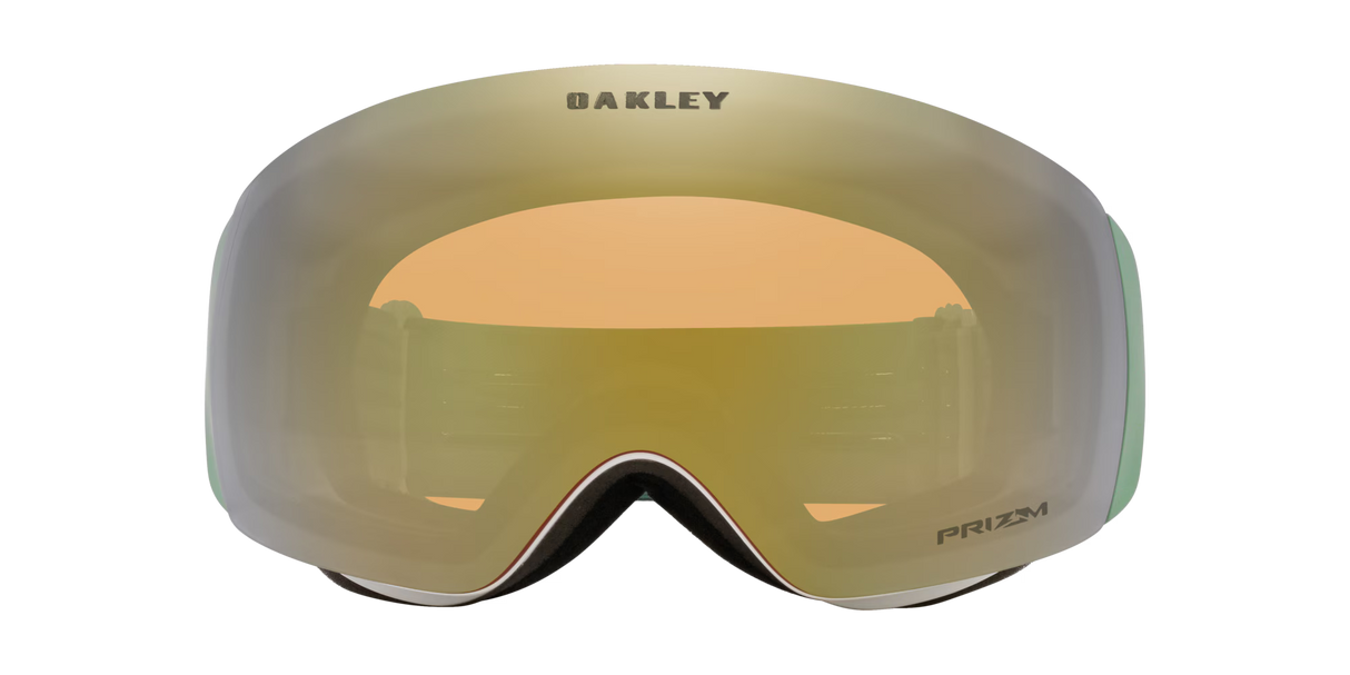 Flight Deck™ Matte Jade Snow Goggles