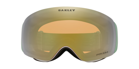 Flight Deck™ Matte Jade Snow Goggles
