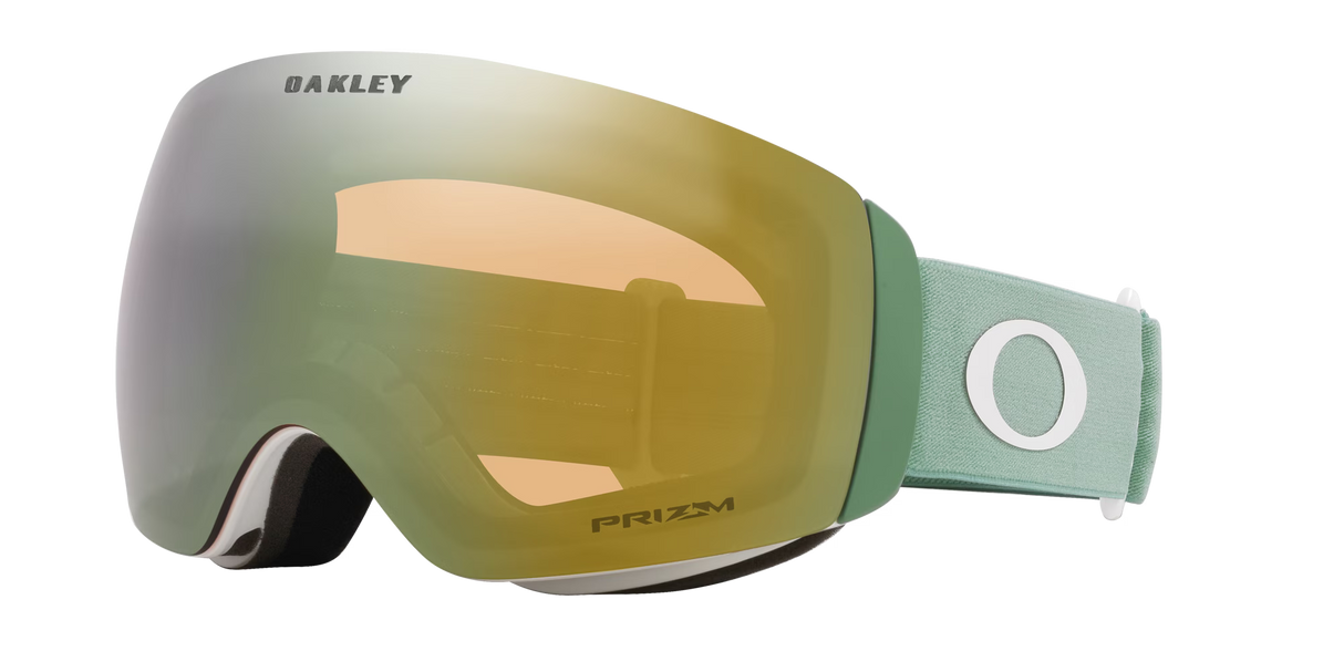 Flight Deck™ Matte Jade Snow Goggles