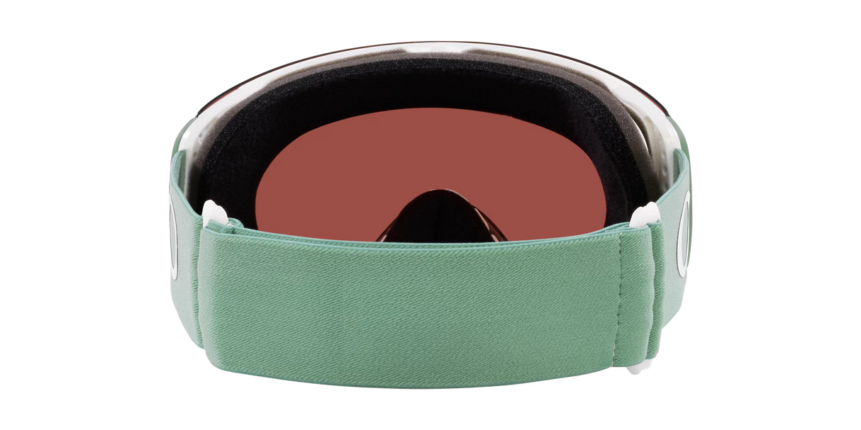 Flight Deck™ Matte Jade Snow Goggles