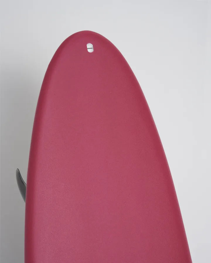 Ally Cat Softtop Surfboard
