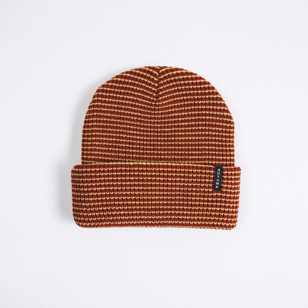 Stripe Beanie