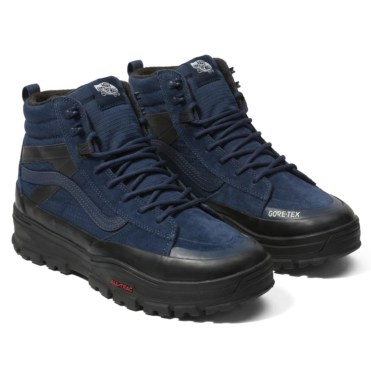Sk8-Hi GORE-TEX Insulated MTE Shoe