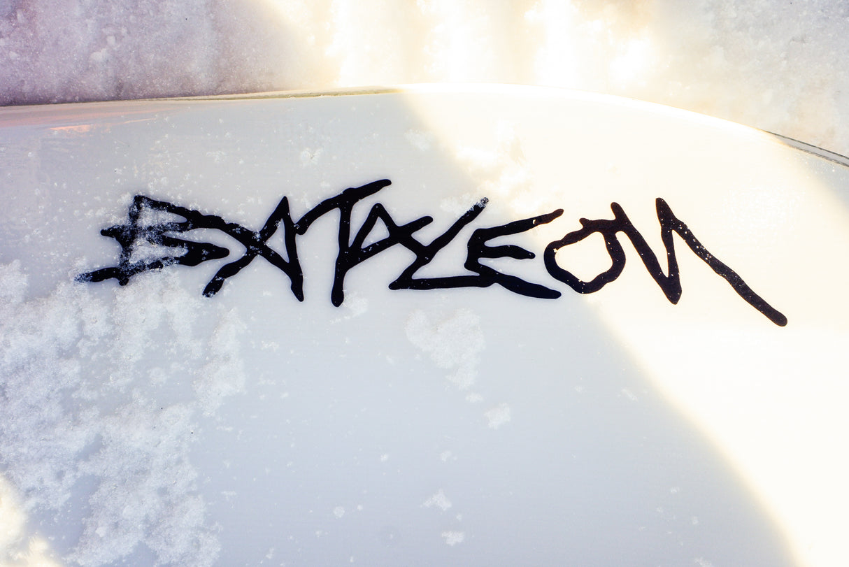 Evil Twin Snowboard