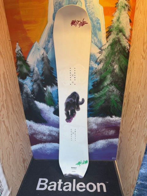 2nd Hand Whatever Snowboard