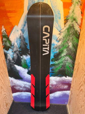 2nd Hand Mega-Split Splitboard + Skins
