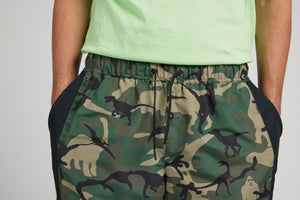 Airblaster Wind Pant 2026