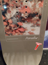 CAPiTA Paradise 145 - 2nd Hand Snowboard