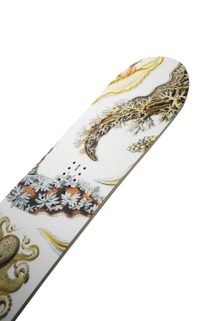 Women's Hell Yes Snowboard 2026