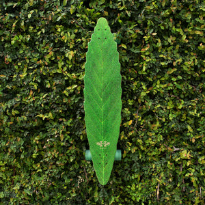 41.0" Leafline Longboard Complete