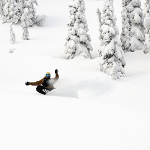 T. Rice Orca Snowboard