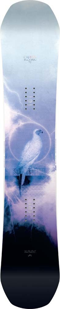 Women's Birds Of A Feather Snowboard
