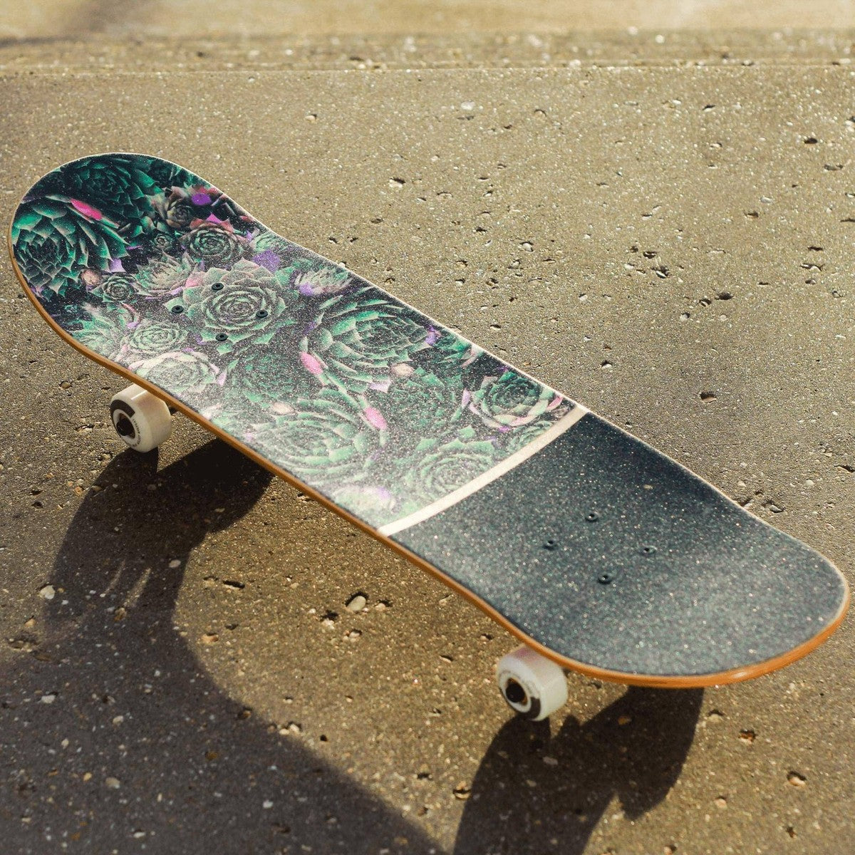 8.125" PLANTS Skateboard Complete