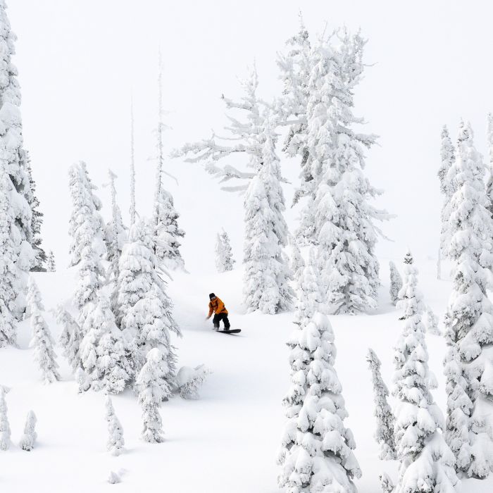 X Mayhem Sweetfish Snowboard